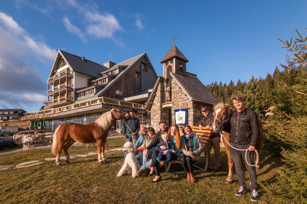Resort Sv. František - Hotel Erlebachova Bouda Špindlerŭv Mlýn Buitenkant foto
